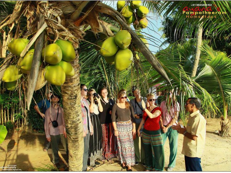 Ayana'S Homestay Alappuzha Dış mekan fotoğraf
