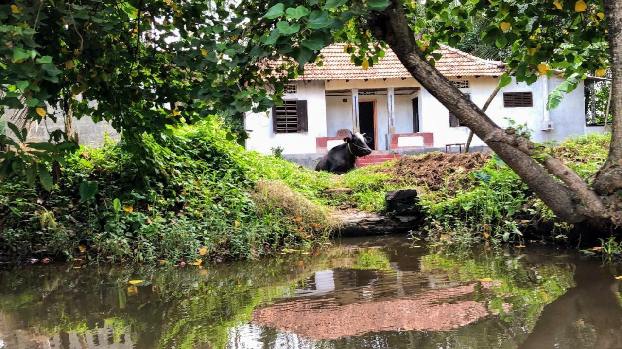 Ayana'S Homestay Alappuzha Dış mekan fotoğraf